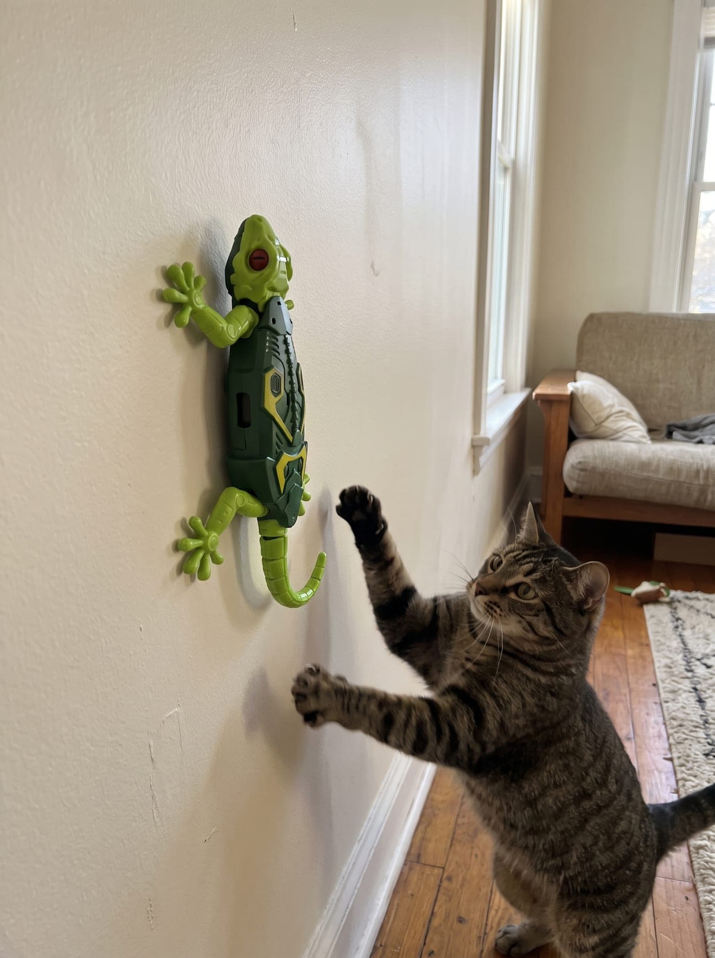 A tabby cat up on its hind legs, reaching for the gecko partway up the wall